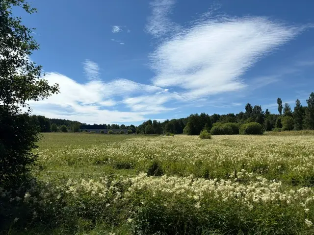 Högsvägen 3, Billingsfors - bild 4