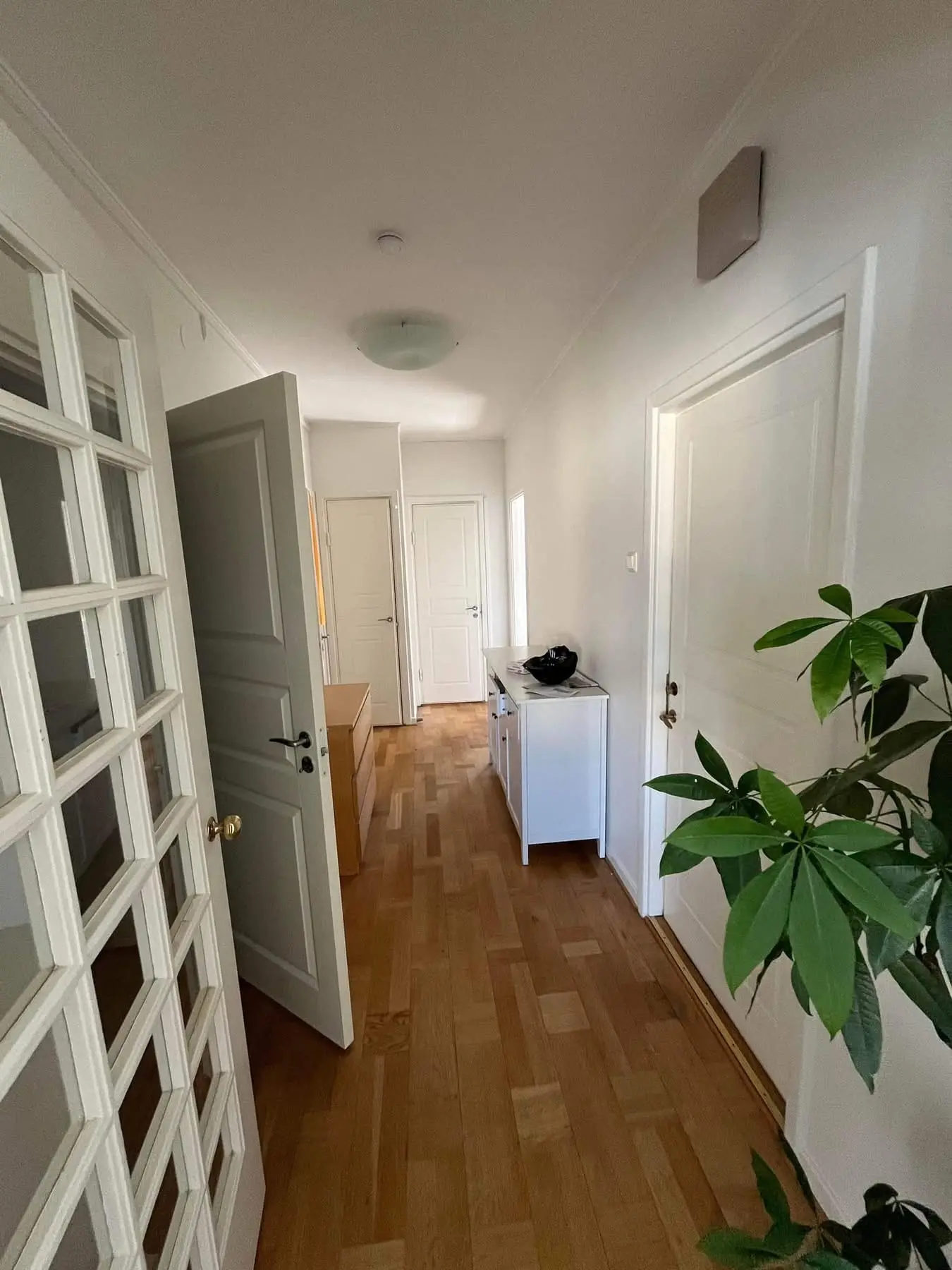 Hästhovsgatan 12 - bild 4