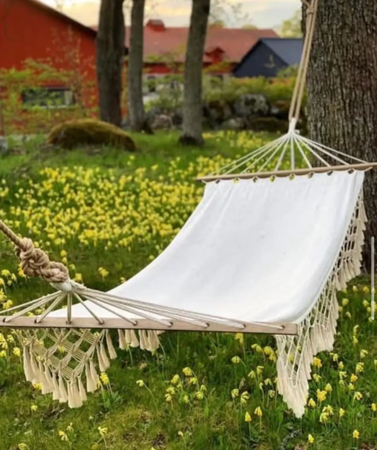 Antuna skolan 1 - bild 5