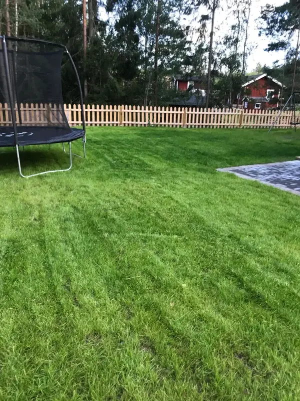 Älgspåret 16 - bild 5
