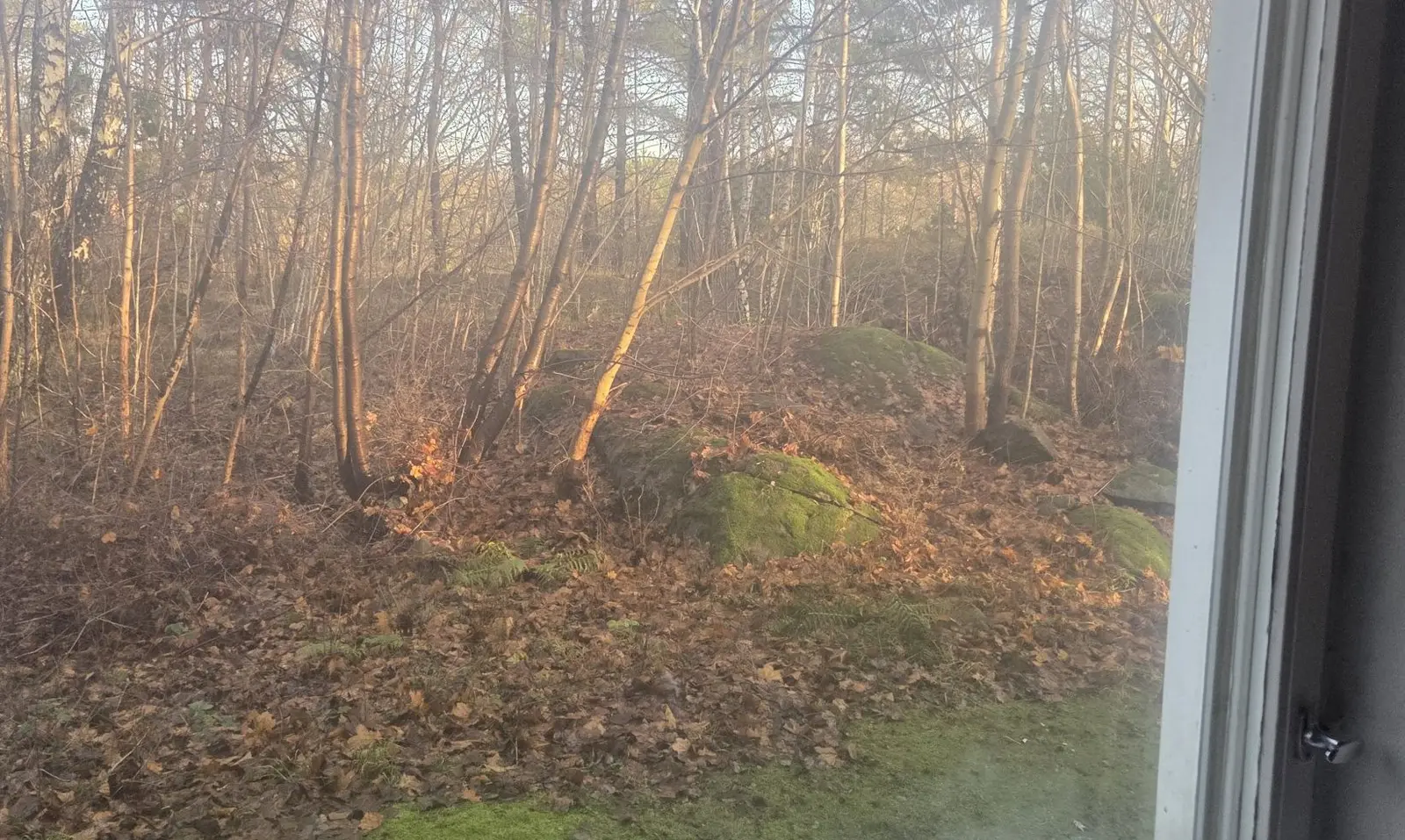 Väderilsgatan 35 - bild 3