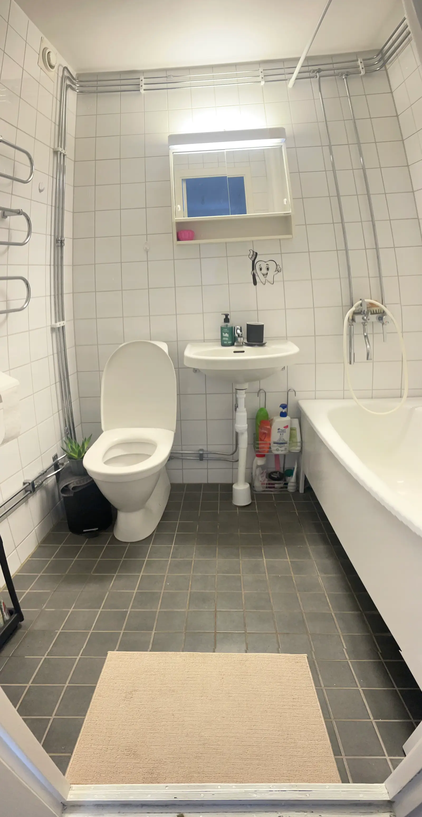 Rödkullastigen 7b - bild 3